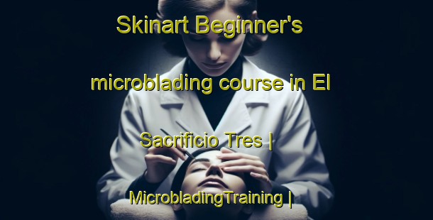 Skinart Beginner's microblading course in El Sacrificio Tres | MicrobladingTraining | MicrobladingClasses | SkinartTraining-Mexico